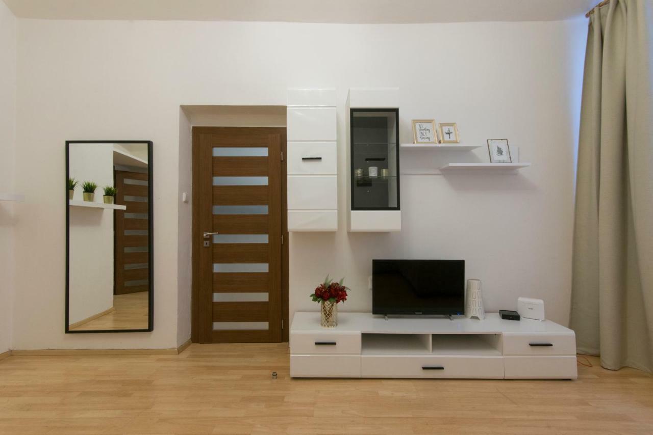 Spacious Near Wenceslas Square *
