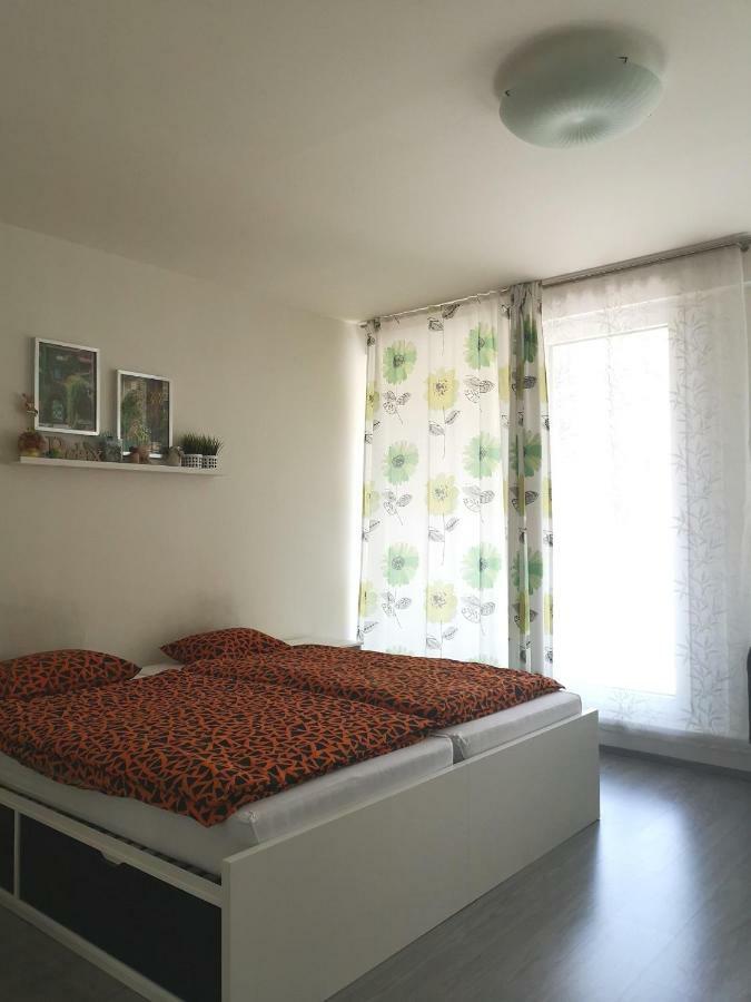 And Refreshing Flat In Prag
