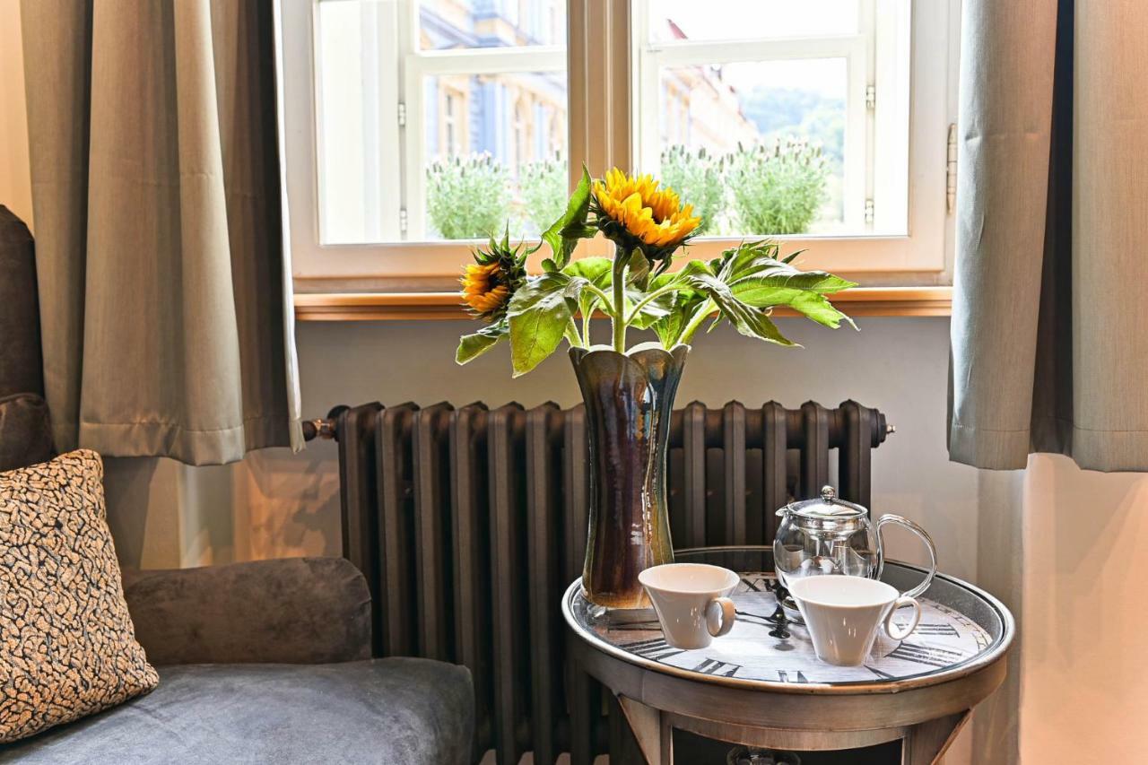 Nebovidy Ii - Air Conditioning - Historic Center Prague