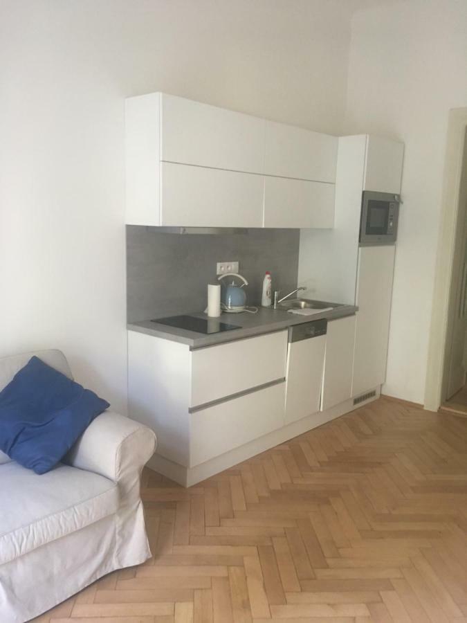 Karl In Apartment Prague