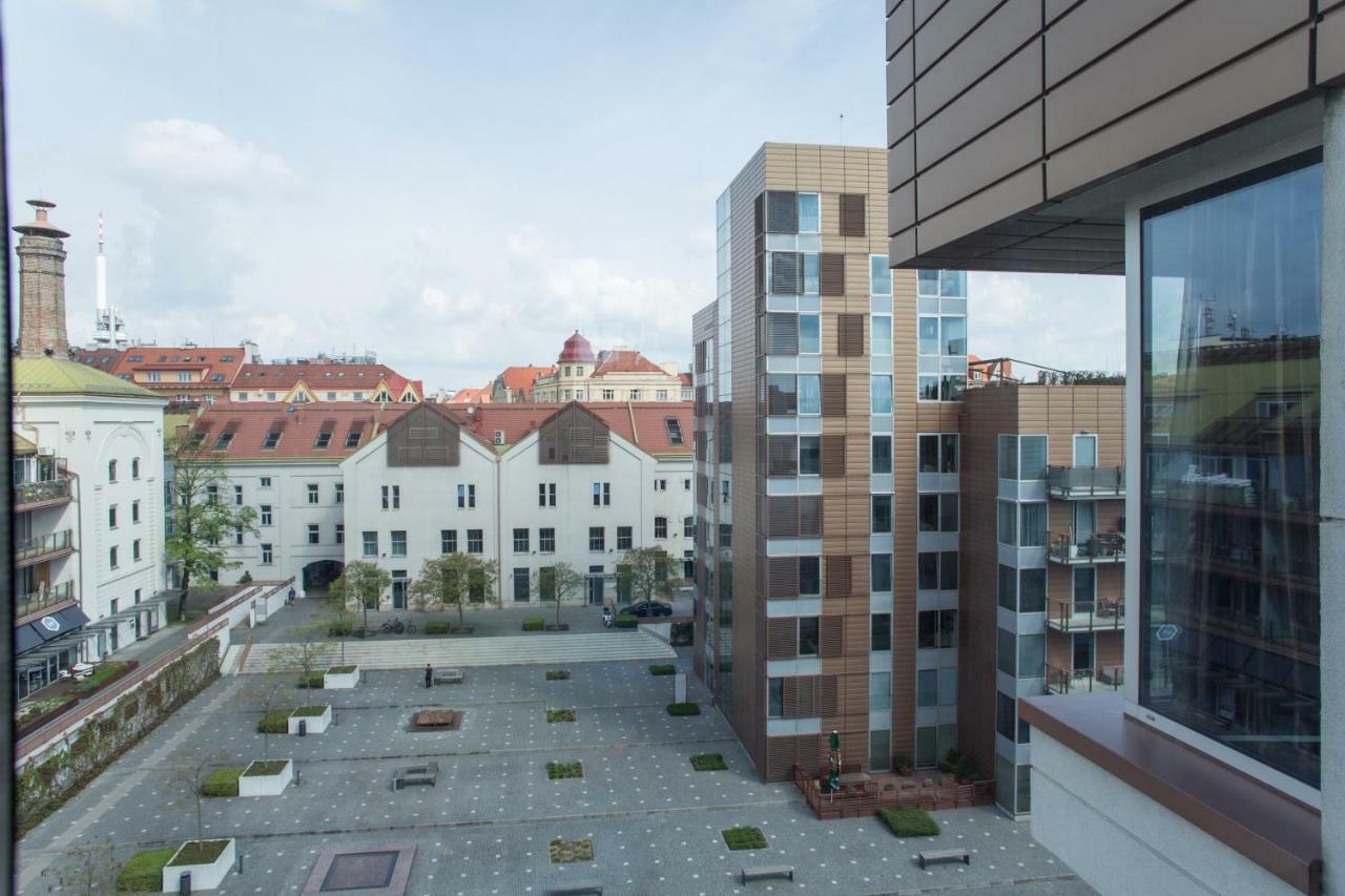 Teichmann Premium * Prag