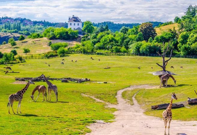 Lovely Apartment, Garden, Parking, Wifi, Netflix Praga