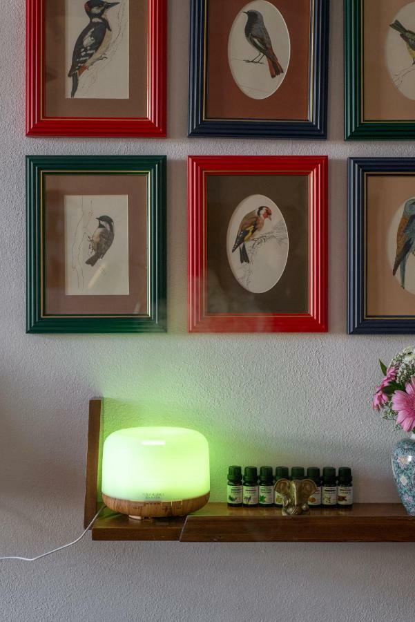 Victoria Design - Rehorova Apartment Prague