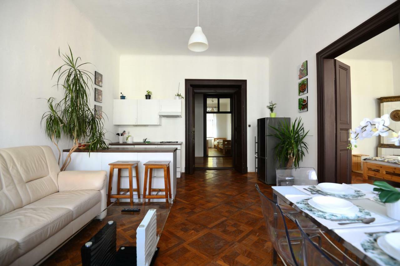 Spacious Cozy In Centre Appartement *