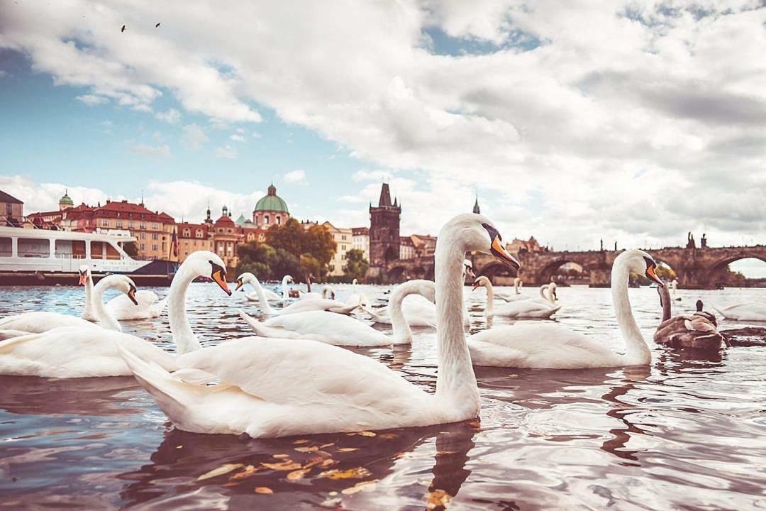 Apartment Quiet With Balcony Charles Bridge Prague