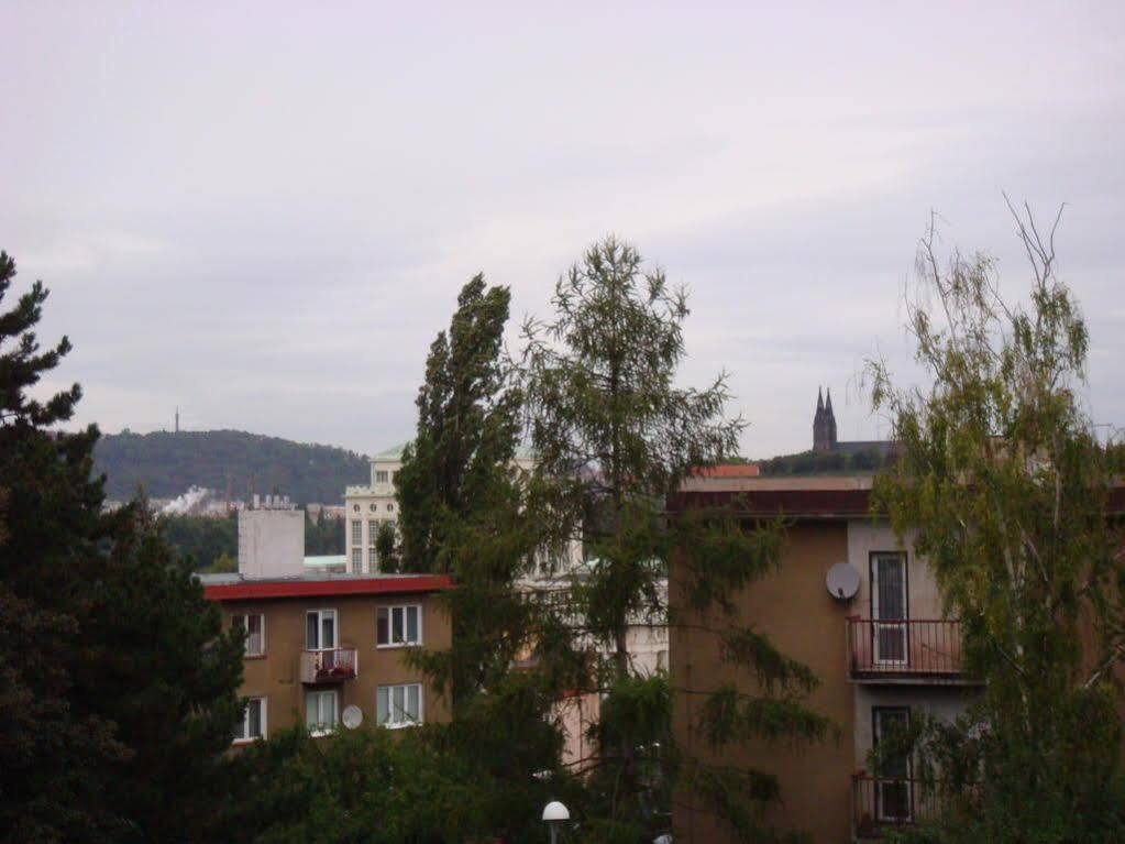 Minihotel Vitex Hotel
