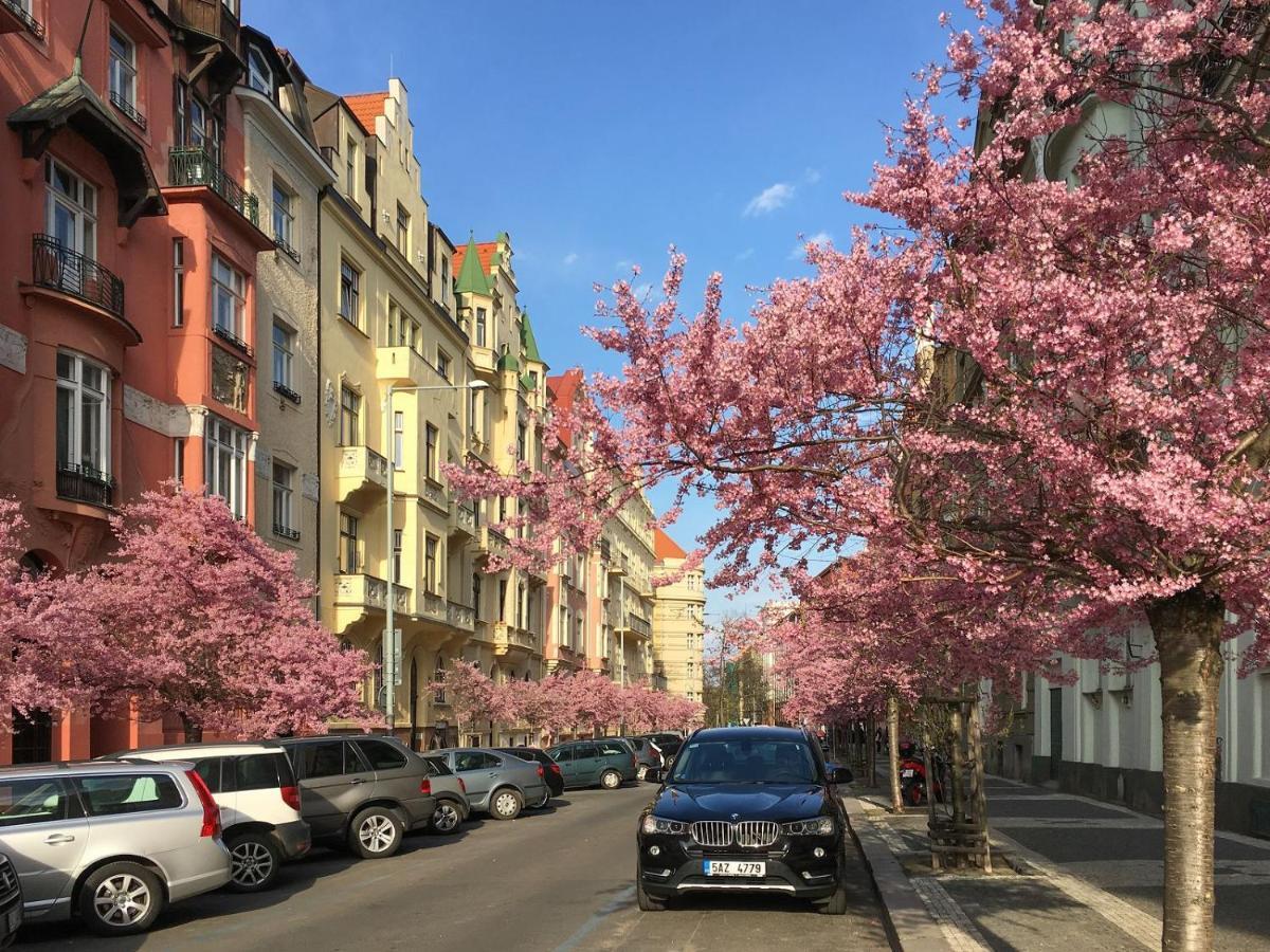 Modern And Huge Apts In Center By Michal&friends * Prague