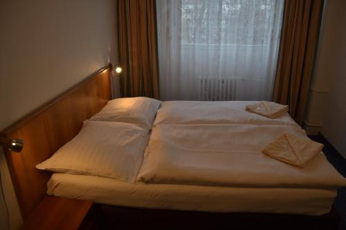 Hotel Bohemians