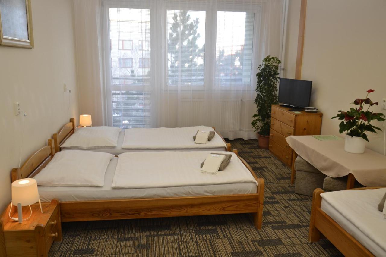 Volha Auberge de jeunesse *
