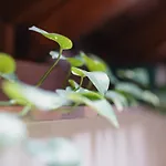 Residence Jecna