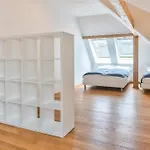 Luxury&Spacious 140M2 Two Floor Rooftop Apartment