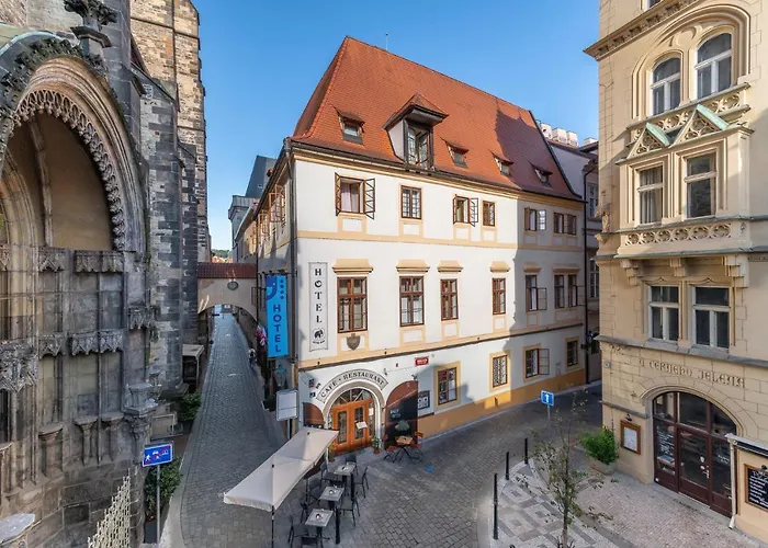 Hotel Cerny Slon