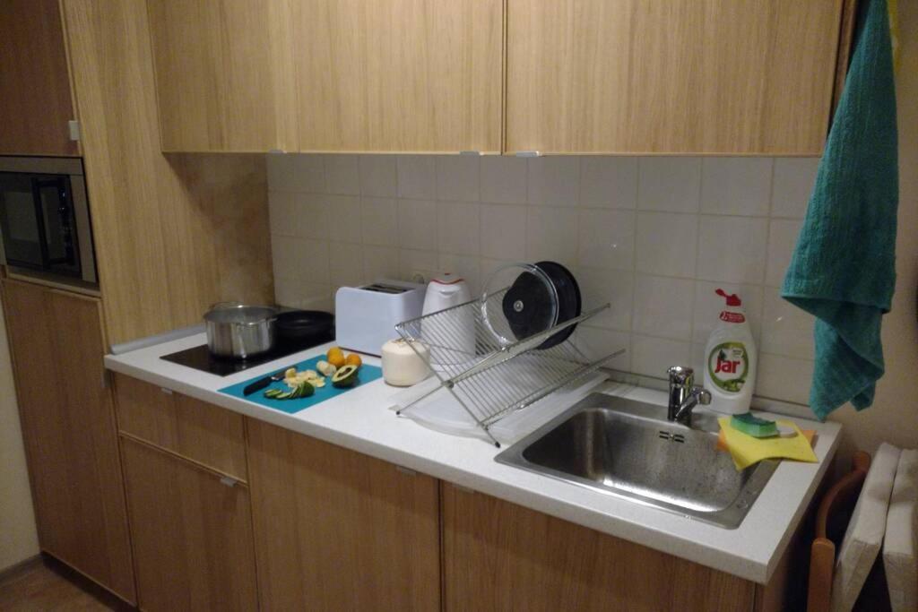 Marvelous In The Center Of Apartment Prag