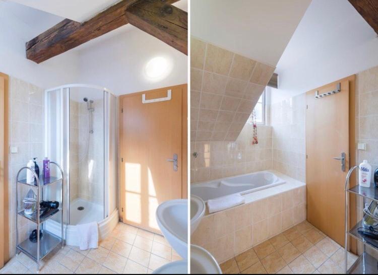 Apartment Stepanska *