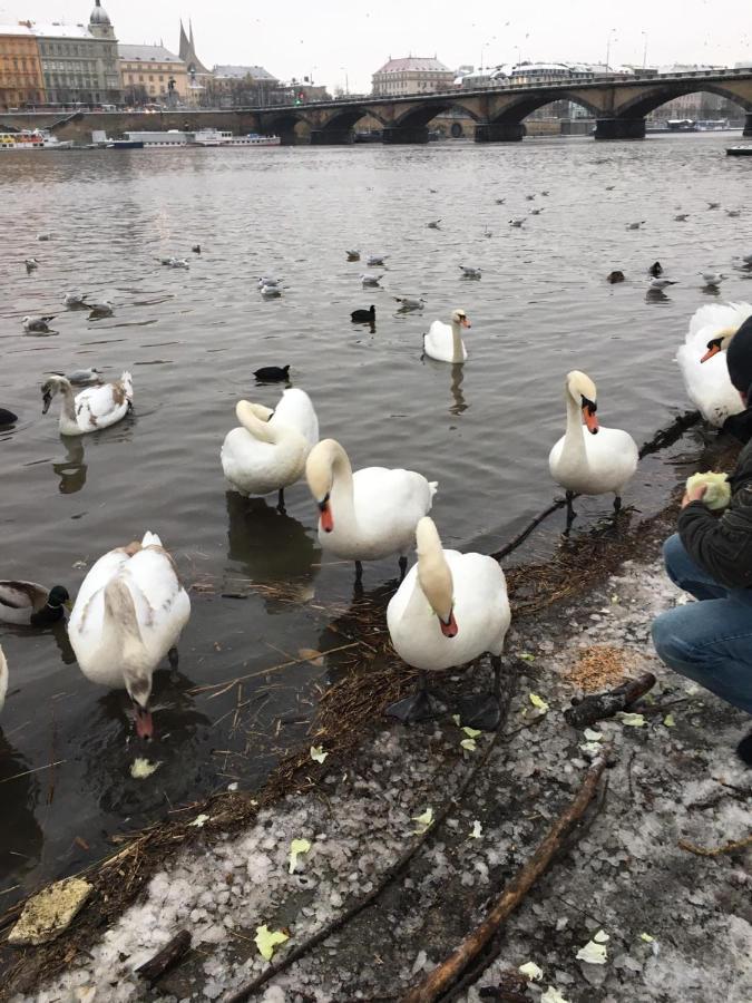 Vltava Apartamento *