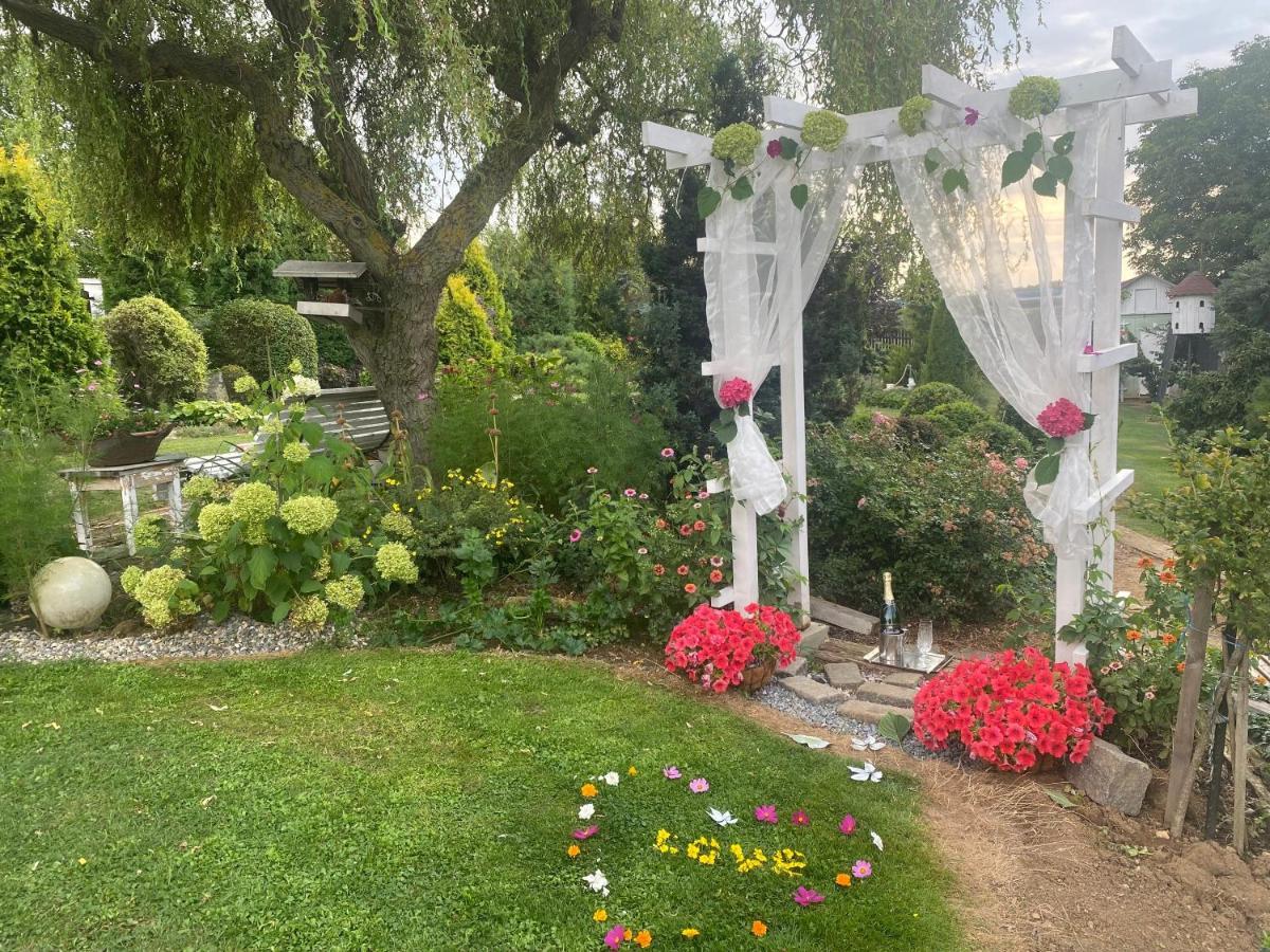 Royal Garden With A Pool Appartement