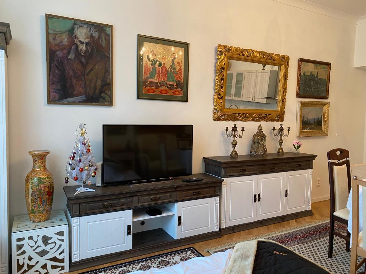 Apartment Slavikova *