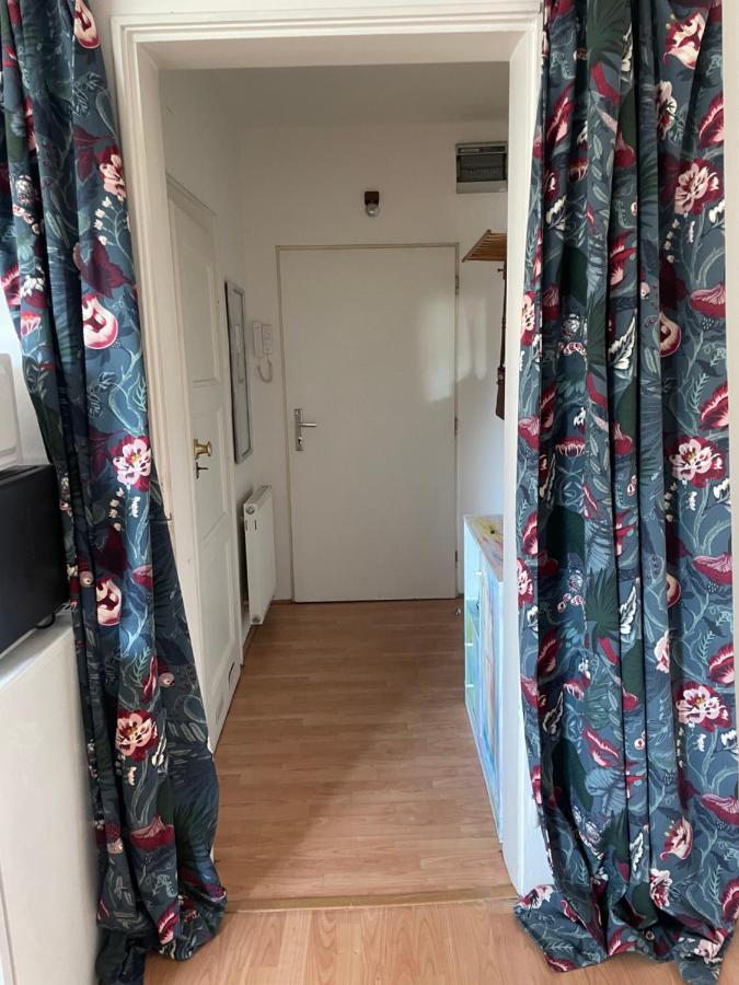 Apartment Podkrovni Byt 1kk *