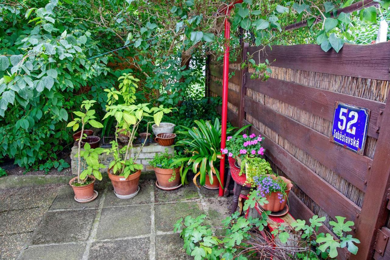 Garden In The Daire *
