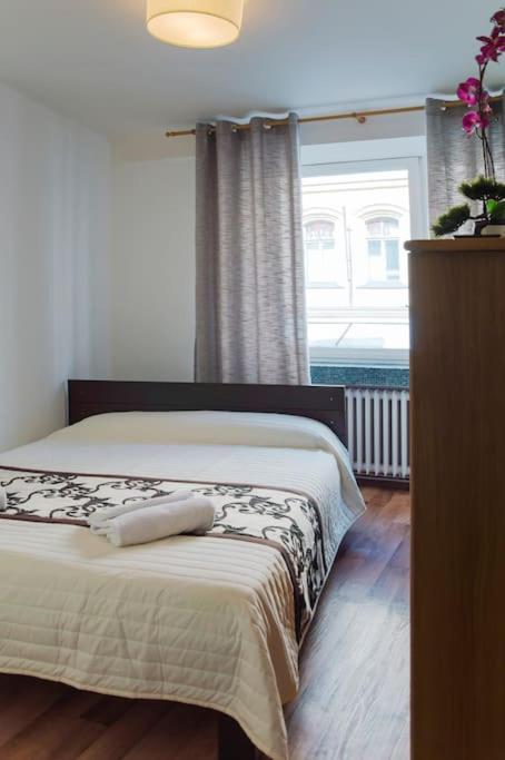 Dlouha 2bd Apartment Prag