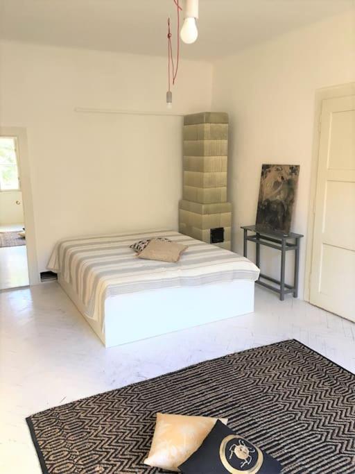 V Srdci Zizkova 3 Appartement Prague