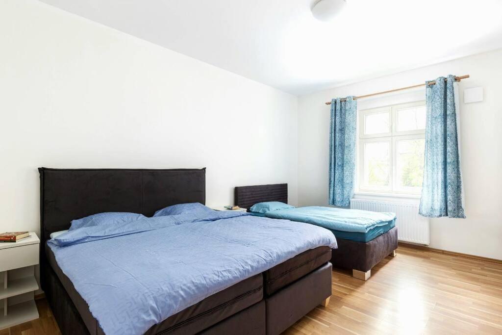Apartment Modern 6min From The Castle