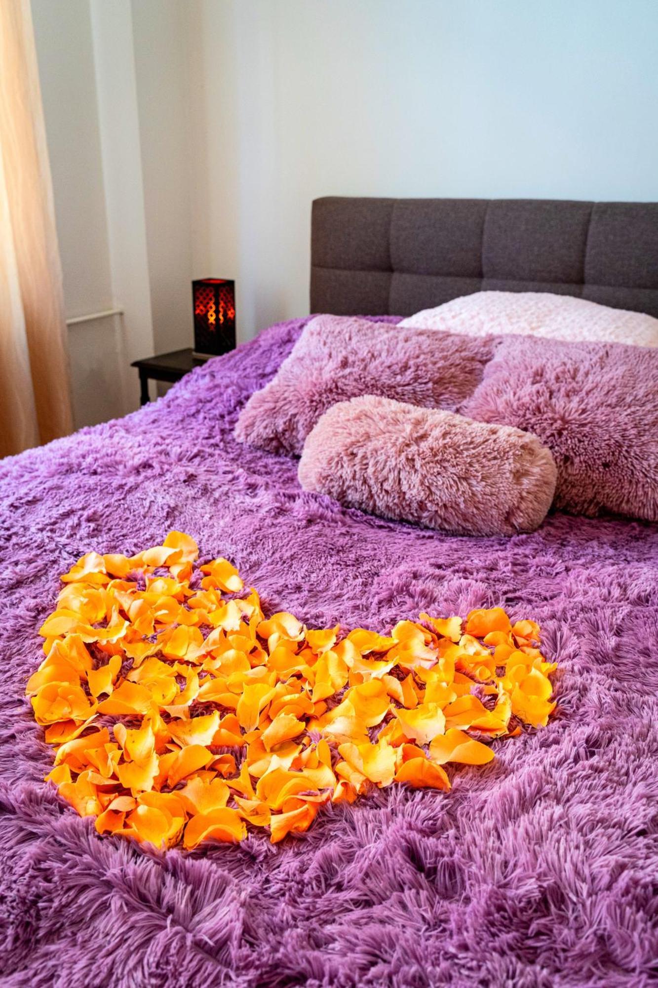 Apartment Brilliant Deluxe