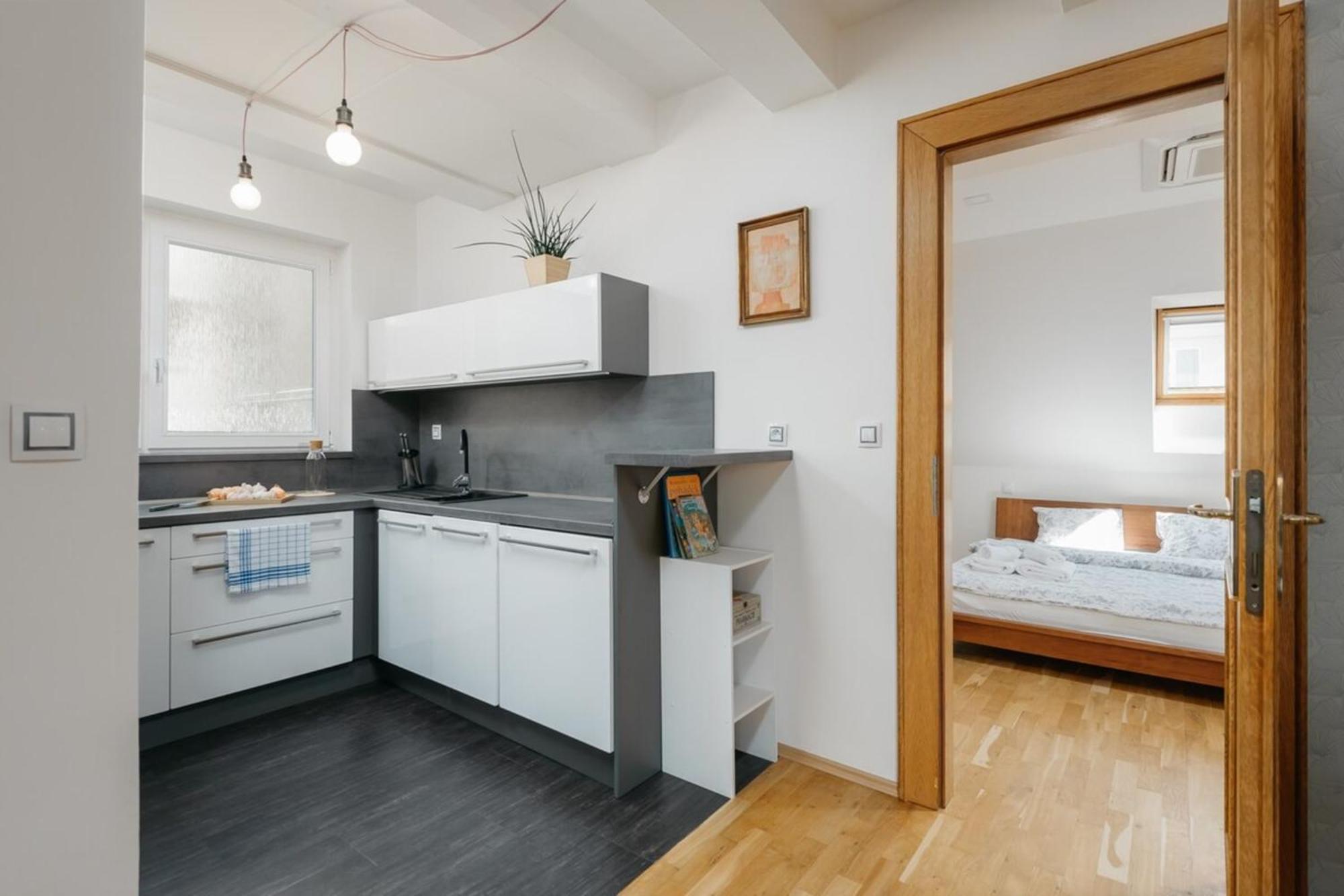 Apartment Eli Spacious With Old Town View, Parking & Ac Prag