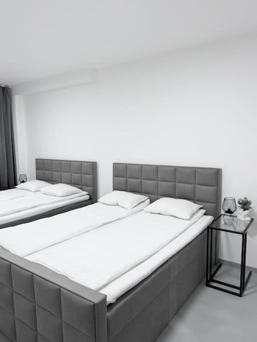 New Modern Large In New Town 3bdr Prague