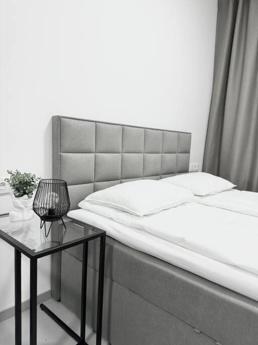 New Modern Large In New Town 3bdr Prague