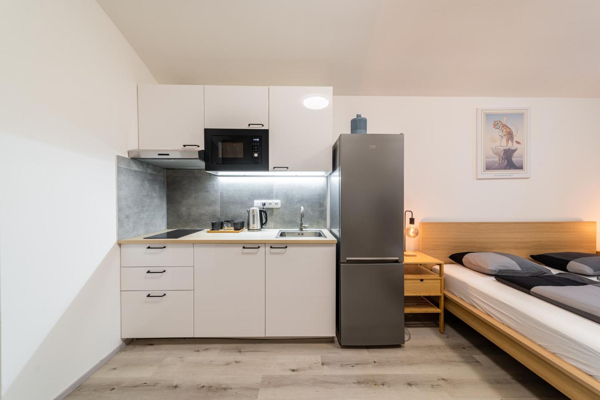 Borivojova 63 Apartment Prag