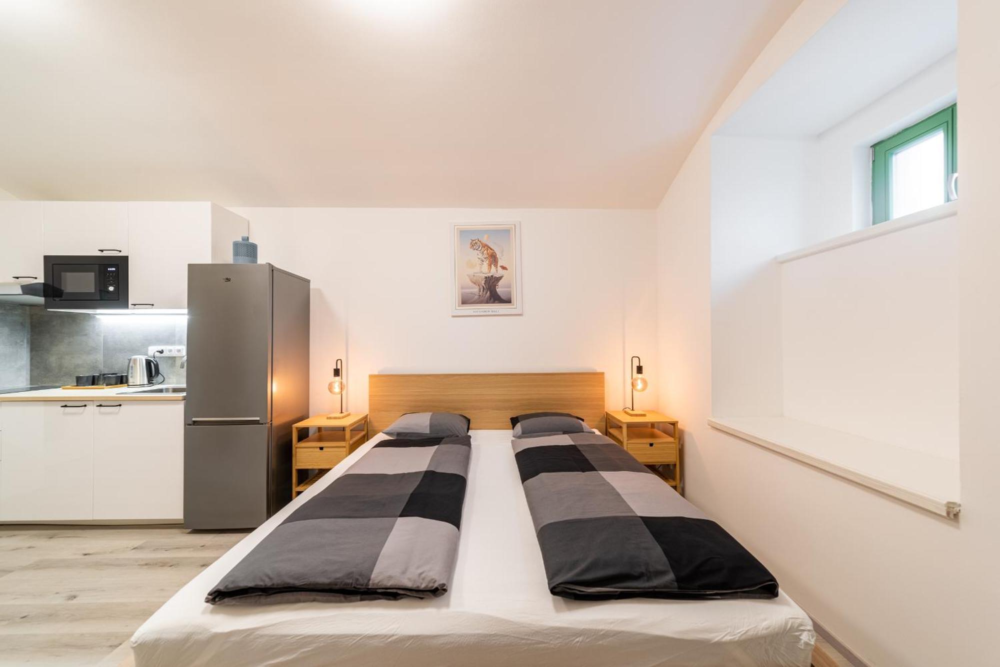 Apartment Borivojova 63 Prag