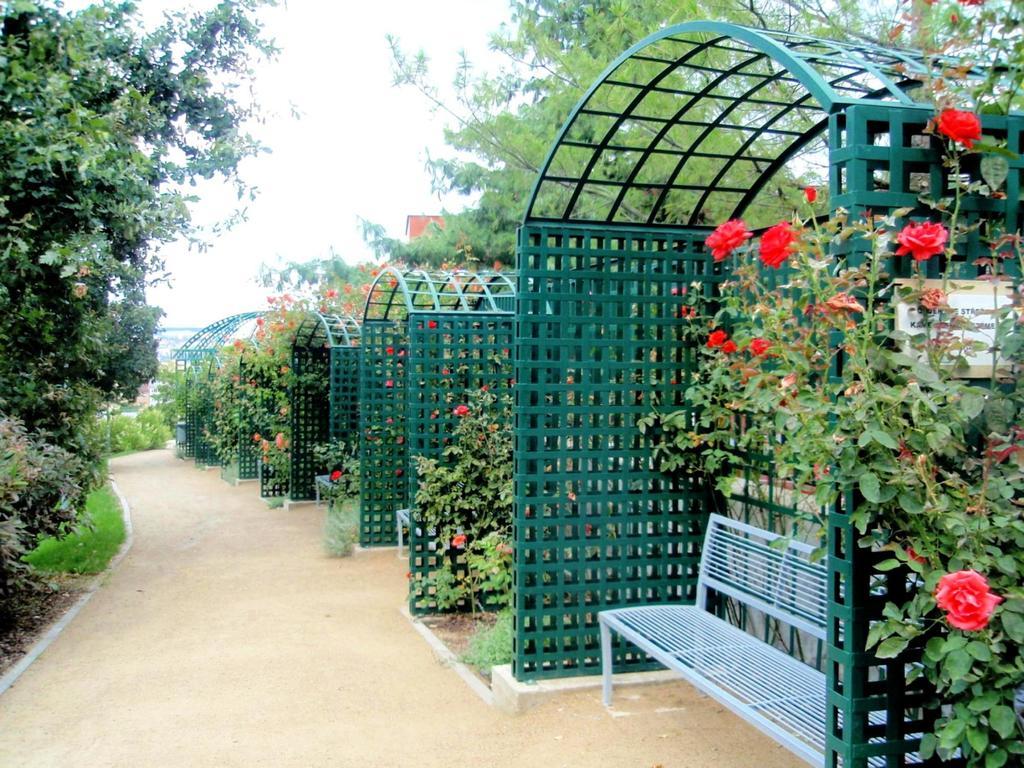 Modern Riegrovy Sady Daire *