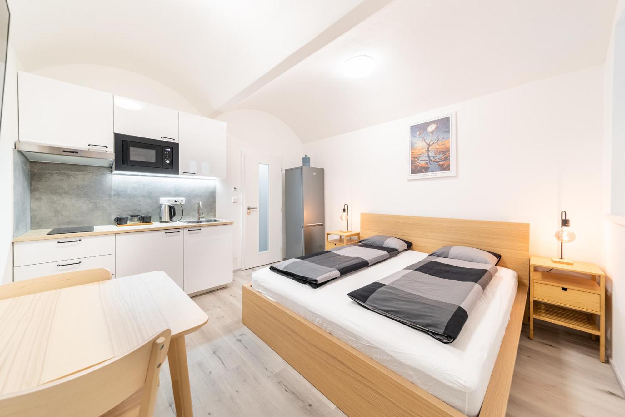 Apartment Borivojova 63 Prag