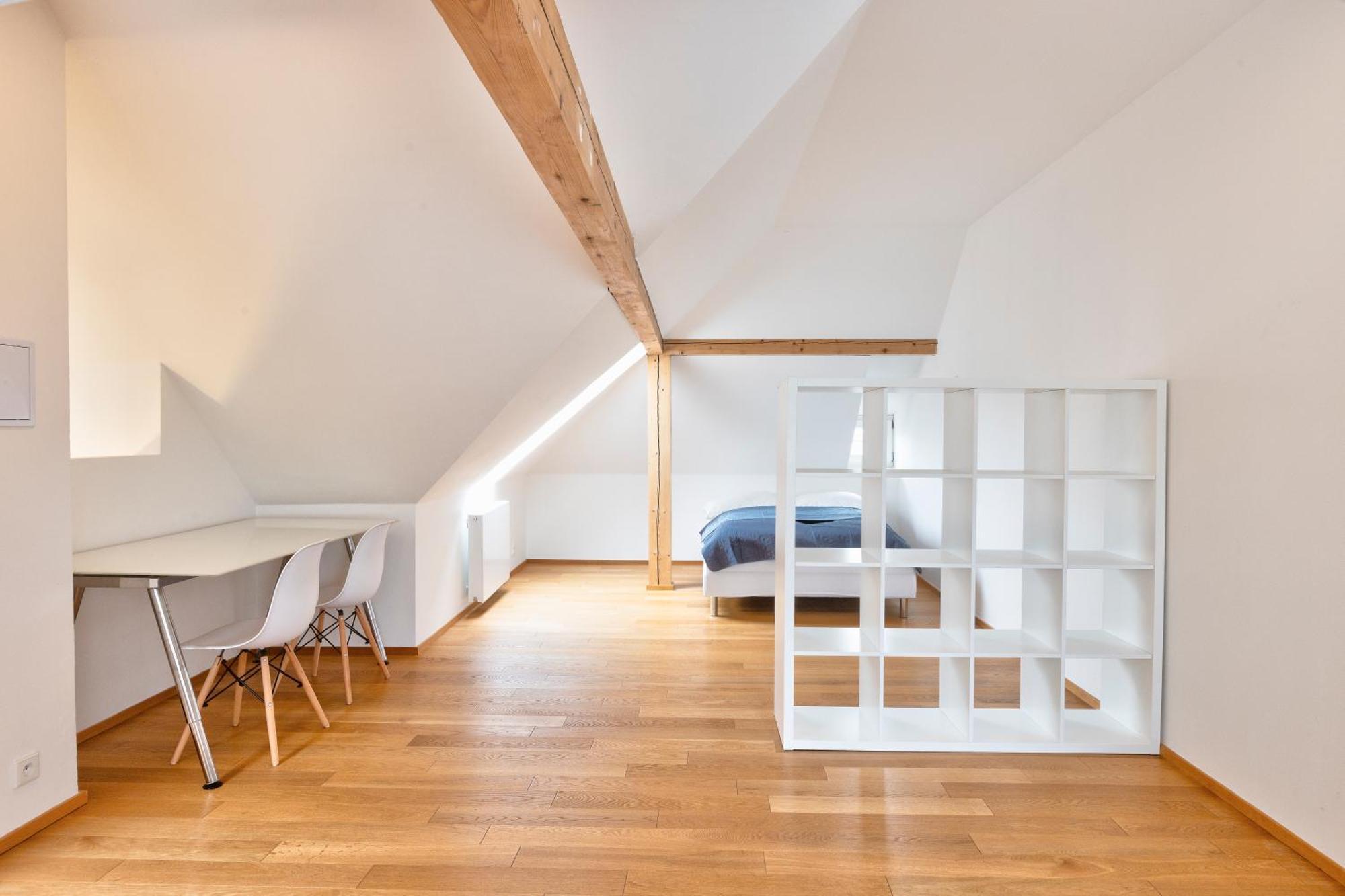 Luxury&spacious 140m2 Two Floor Rooftop Apartment Prague