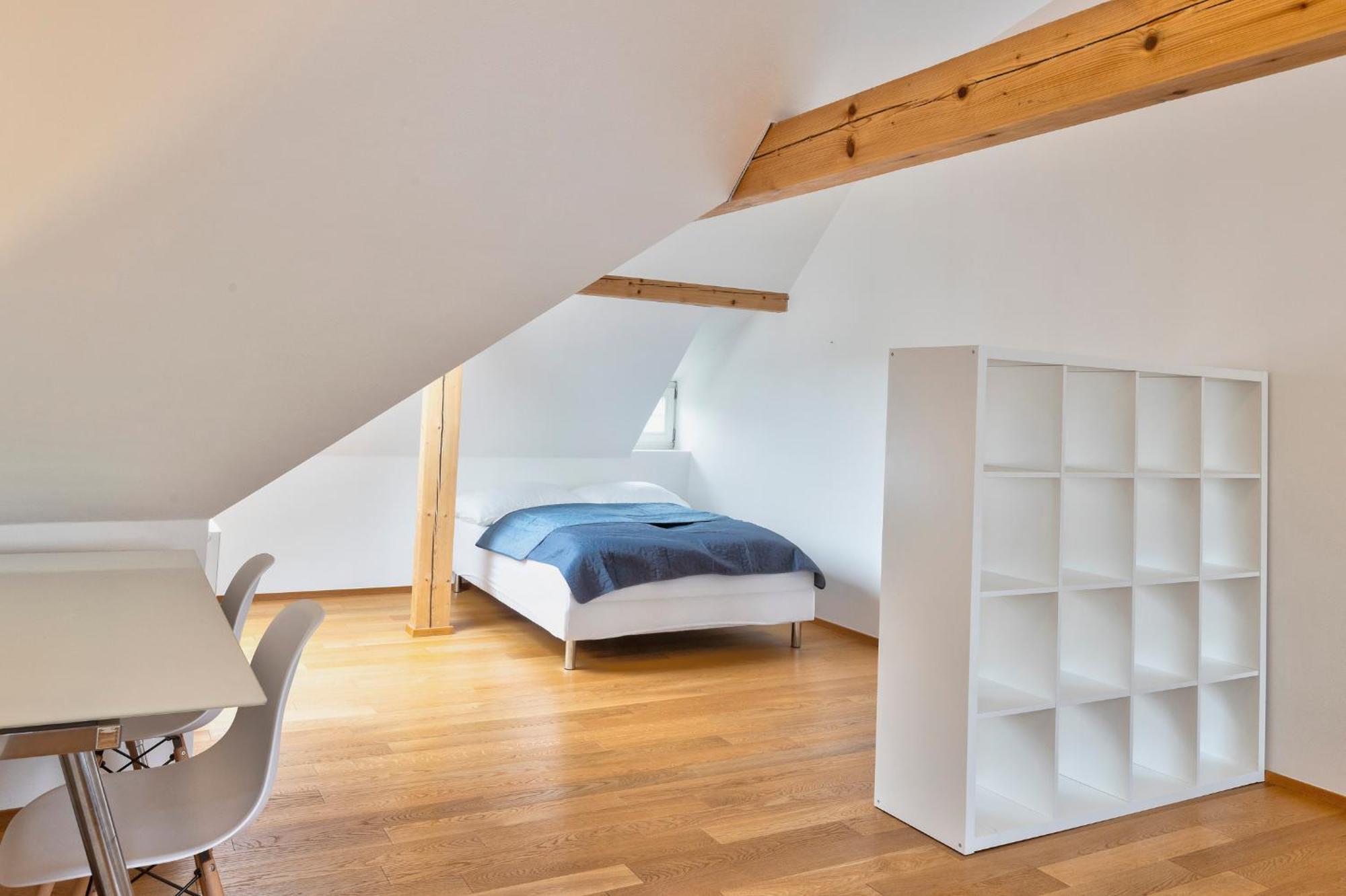 Luxury&spacious 140m2 Two Floor Rooftop Apartment Prague