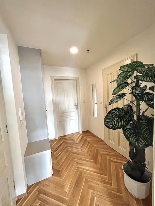 Newapt Next To Wenceslas Square * Praga