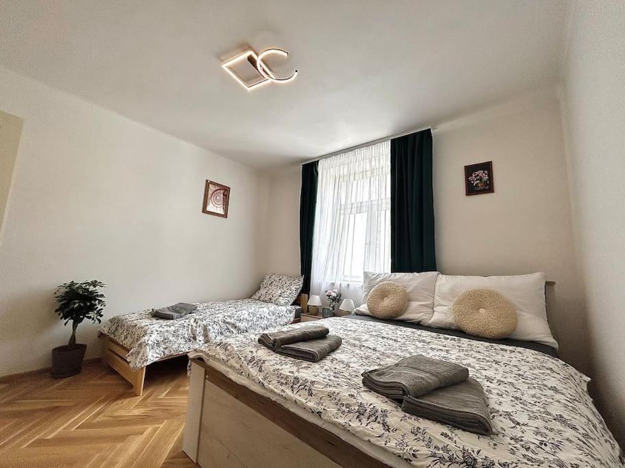 Newapt Next To Wenceslas Square Apartamento *