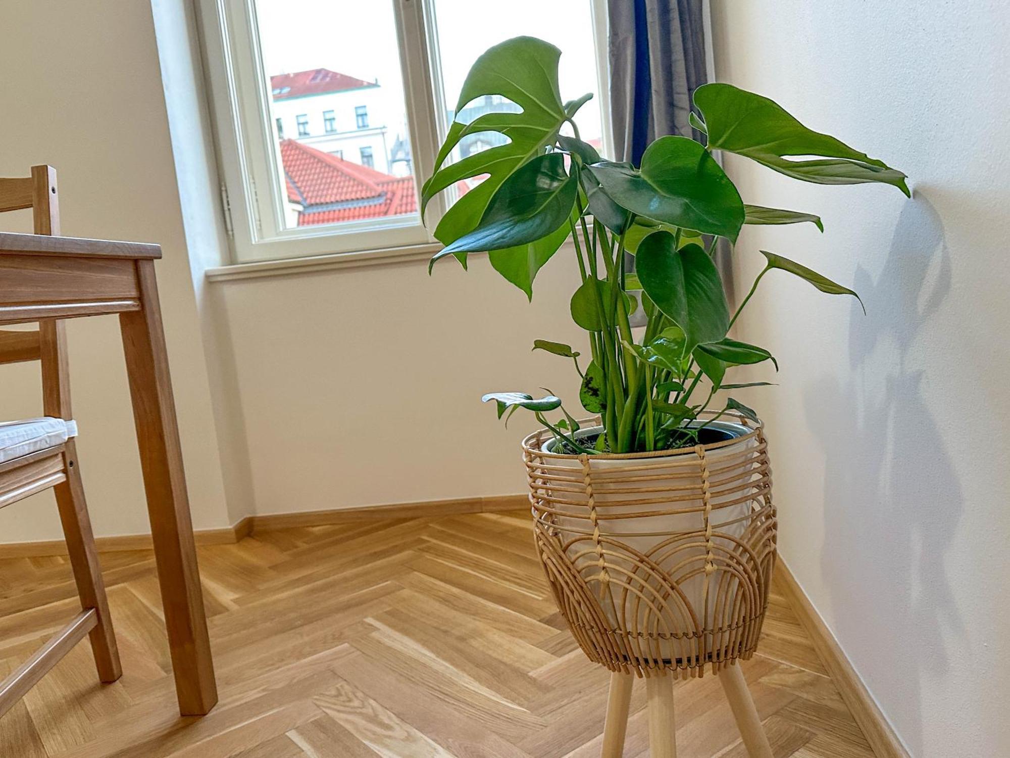 Appartement Stylish Next To Wenceslas Square *