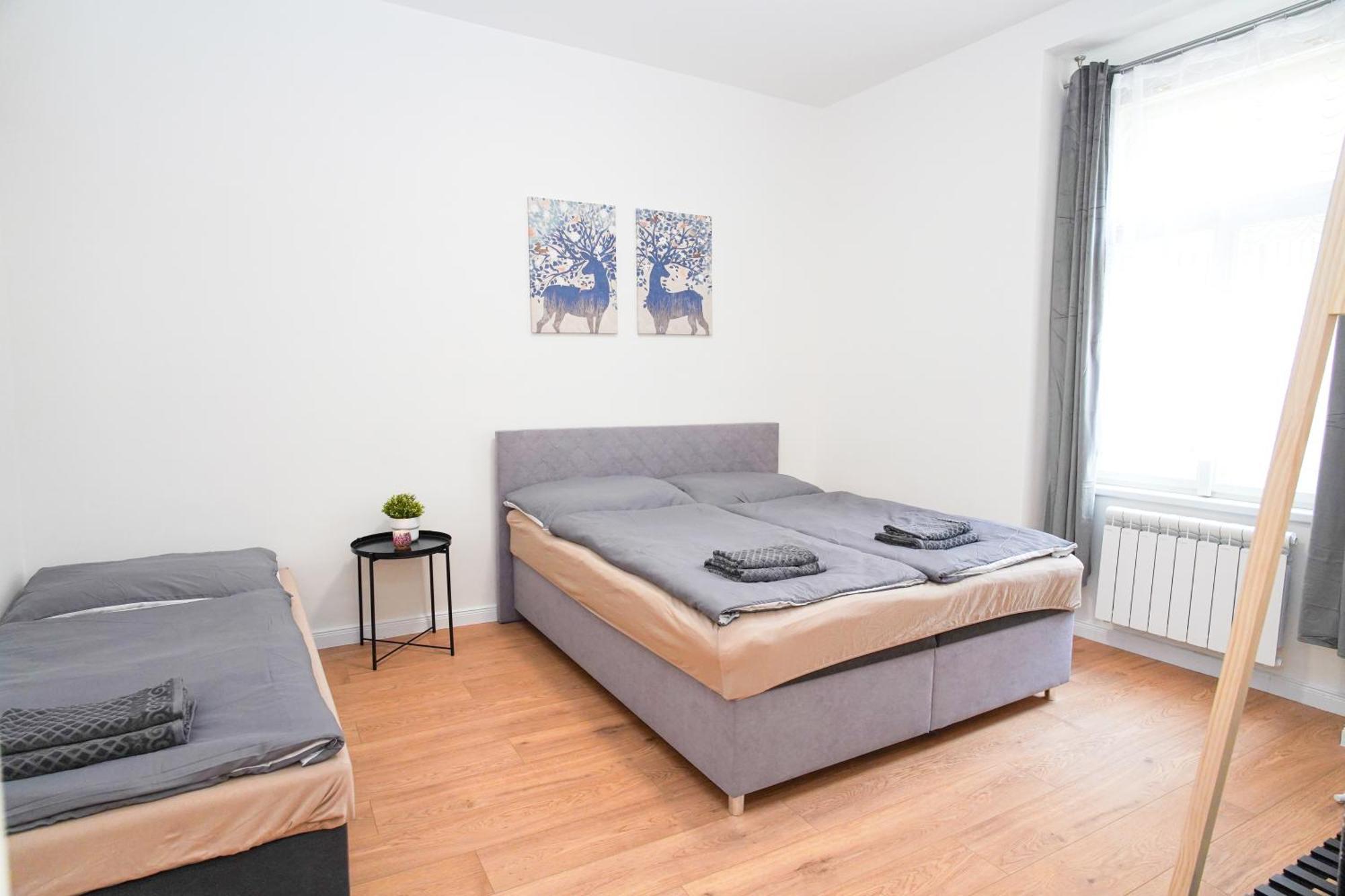 Stunning In Historical Center Apartment