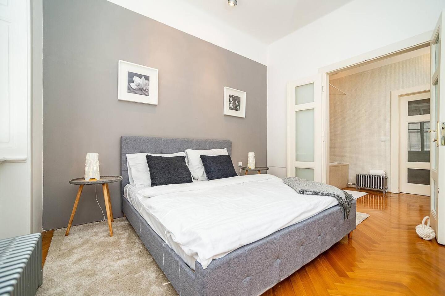 Elegant Old Town With Balcony With Free Garage Apartment Prague