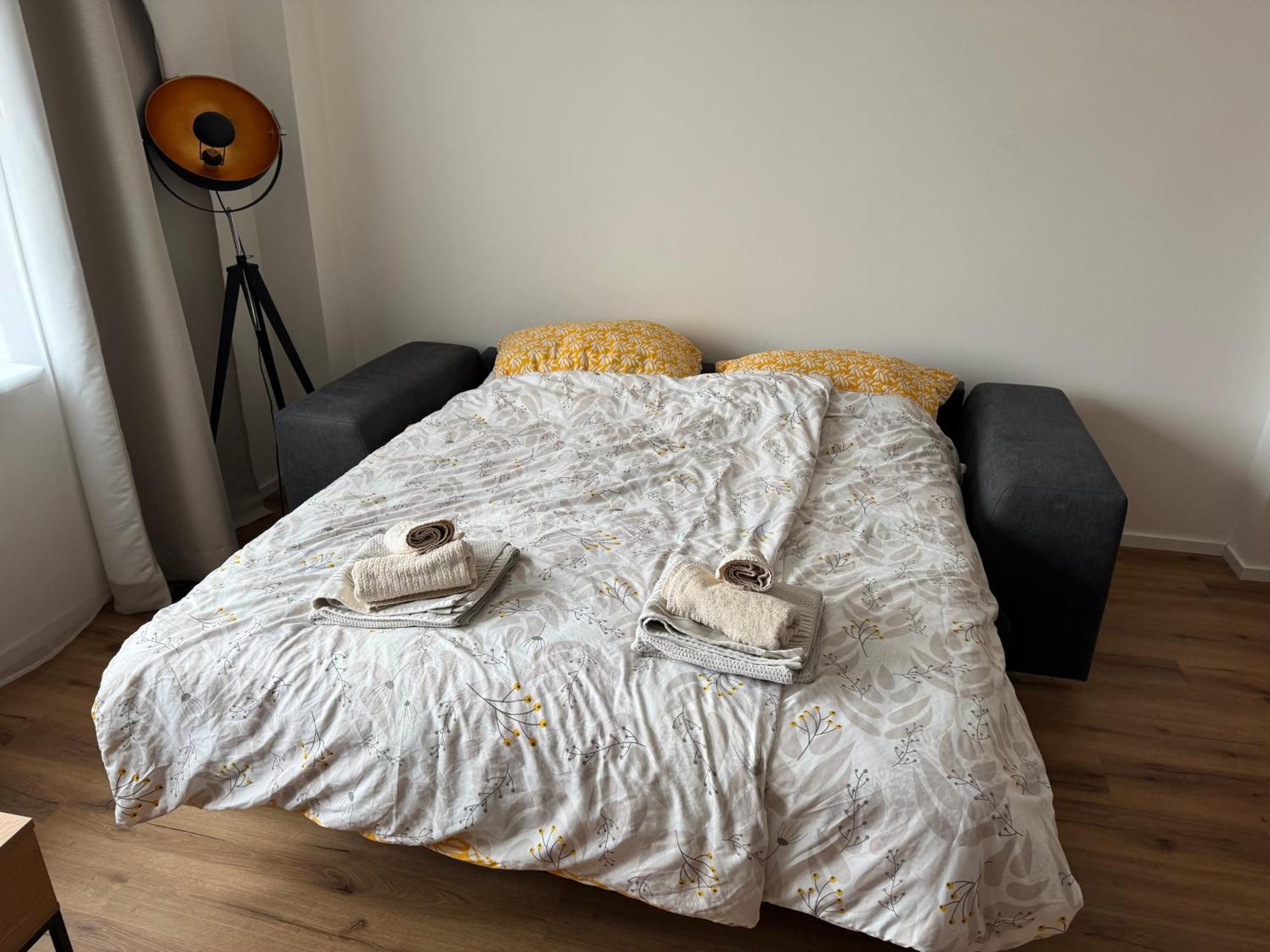 Apartment Spacious Flat Near Center *
