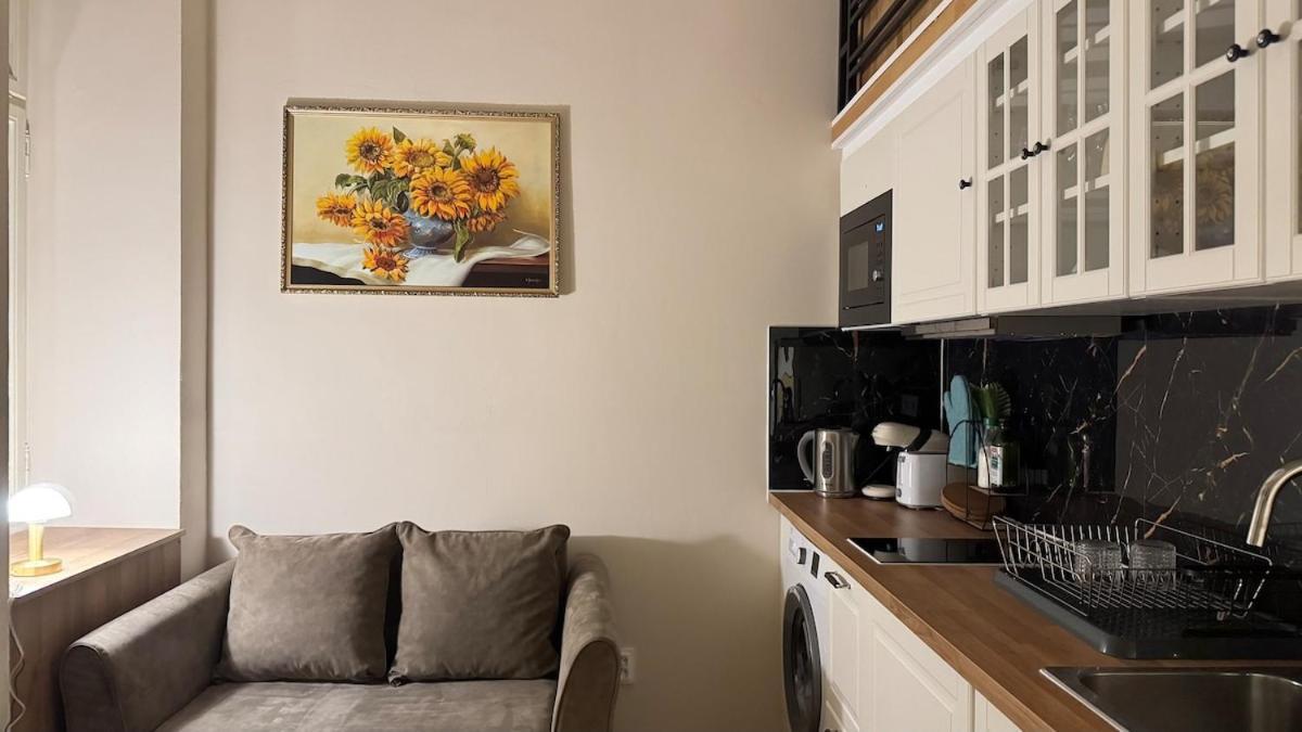 Apartamento Newly Renovated In Wenceslas Square Praga