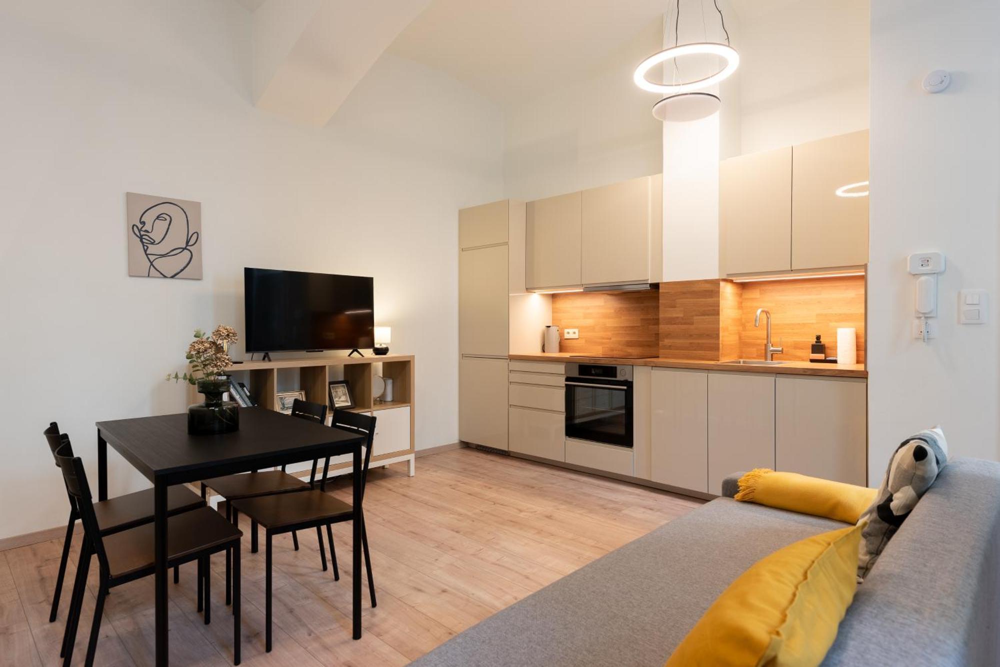 Eclectic And Design Duplex In Appartement Prague