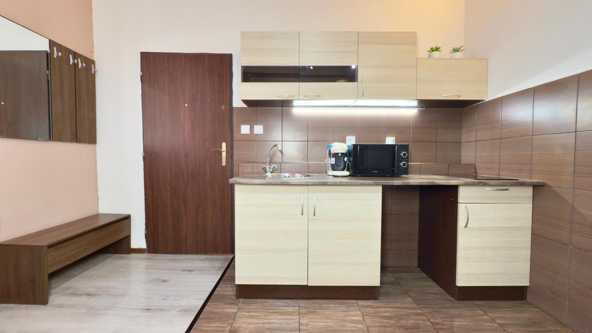 Plavecka Apartment Prague