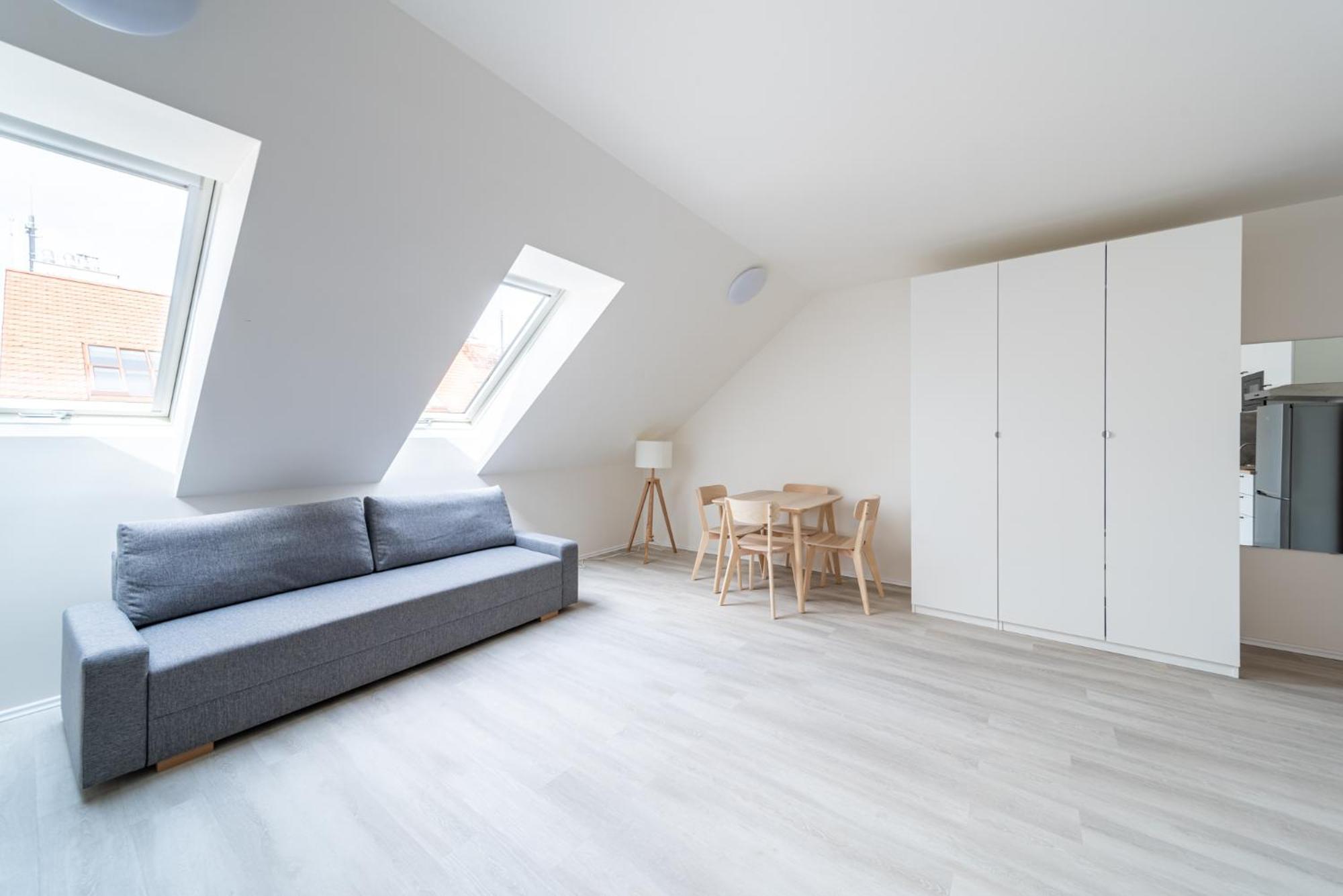 Apartment Borivojova 63 Prag