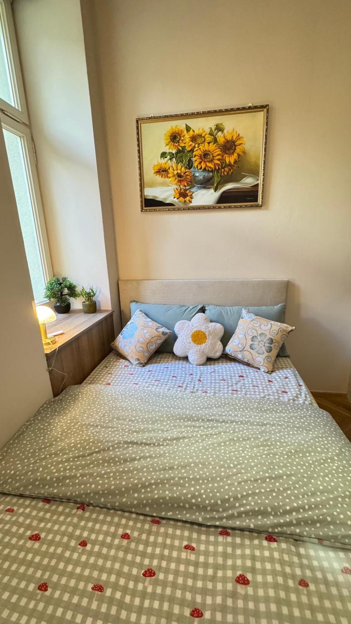 Apartamento Newly Renovated In Wenceslas Square Praga