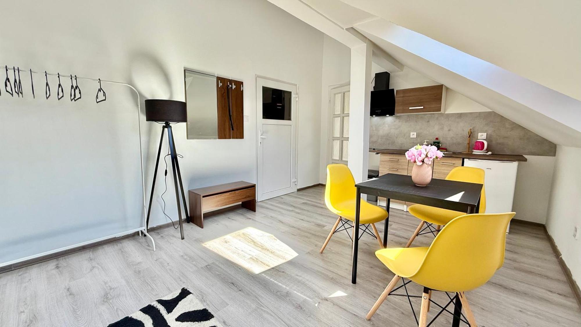 Apartment Plavecka Prague