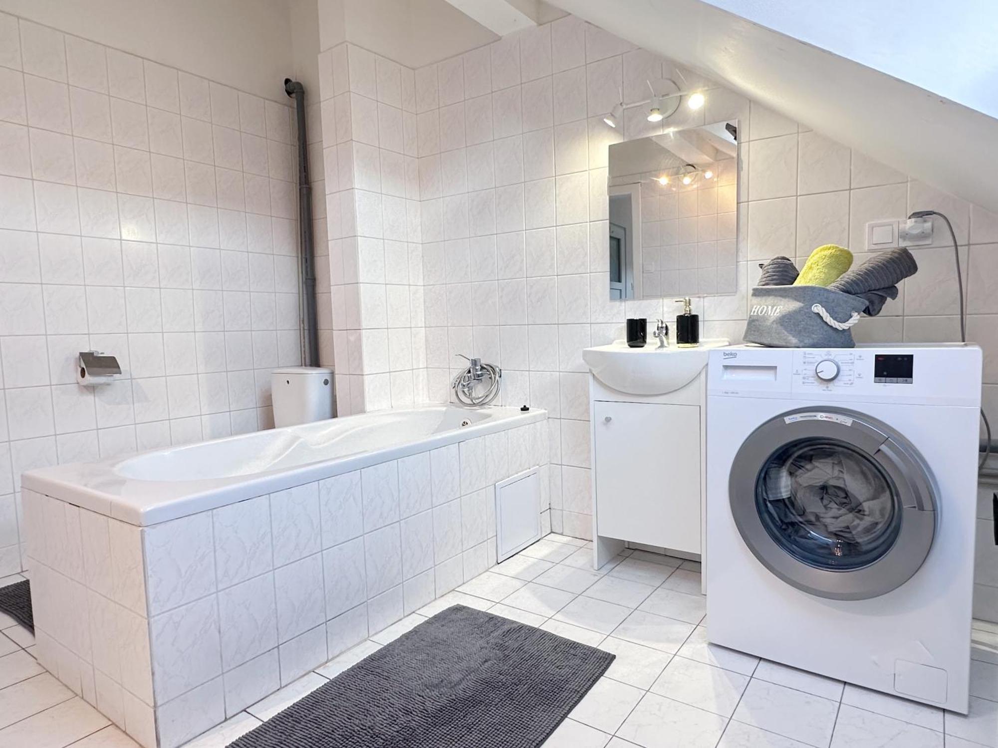 Apartment Plavecka Prague