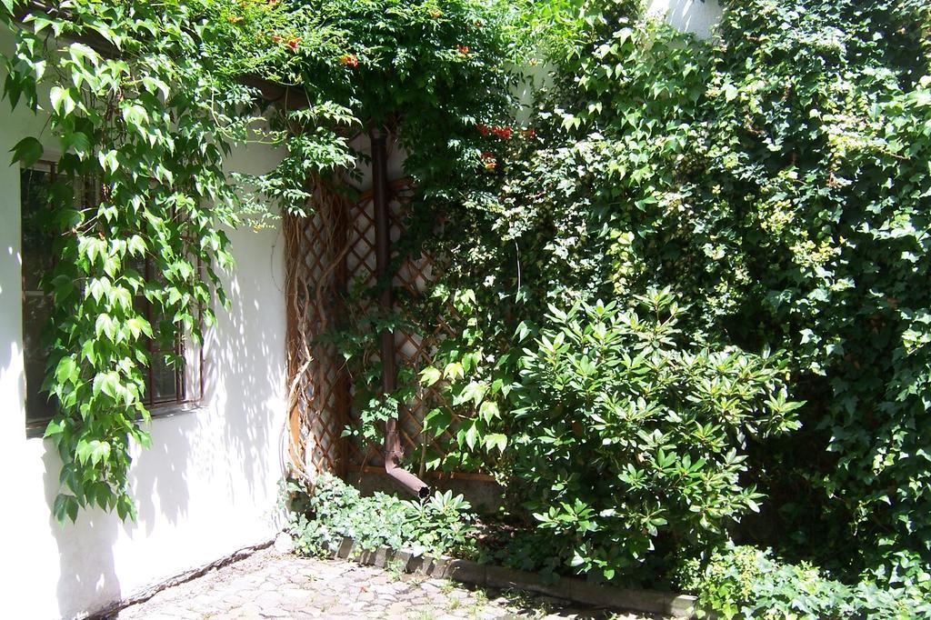 Near Lesser Town * Prague